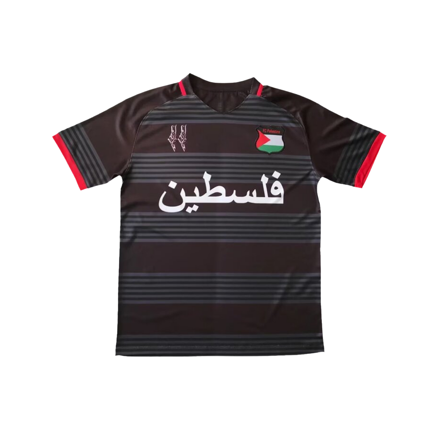 Palestine Grey & Black Jersey 2024/25