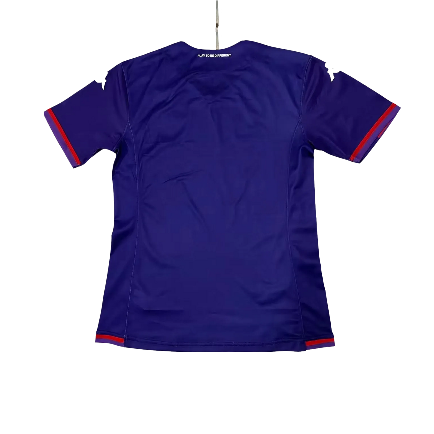 Fiorentina Third Jersey 2023/24