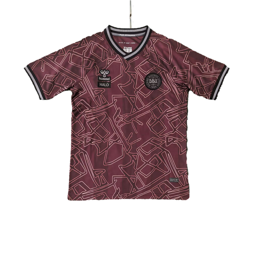 Denmark Special Jersey 2024/25